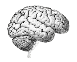 early signs of brain tumor