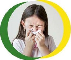 best home remedies for cold and cough in adults