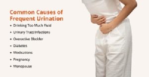 causes of frequent urination in men
