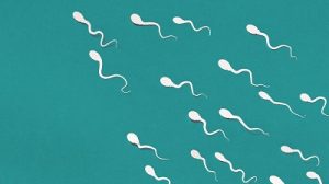 causes of low sperm count