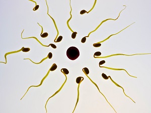 how to improve low sperm count naturally at home