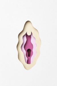 vagina health