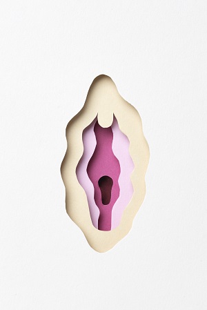 vagina health